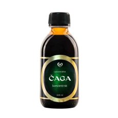 Zdravý svet Lipozomální komplex Čaga 200ml