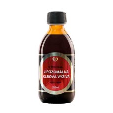 Zdravý svet Liposomální komplex Kloubní výživa 250 ml